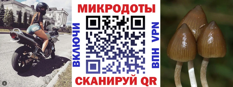 Галлюциногенные грибы Magic Shrooms  Купить закладки  Лесосибирск 